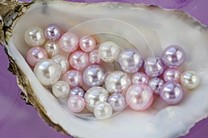 Artificial pearls inside the oyster shell. Different colors and size of pearls. Isolated on a rose background