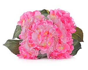 Artificial Pink Hydrangea flowers isolated on white background