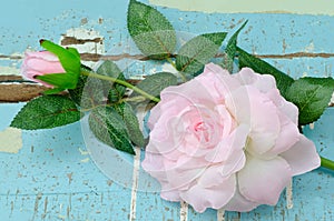 Artificial pink roses on grungy light blue wood