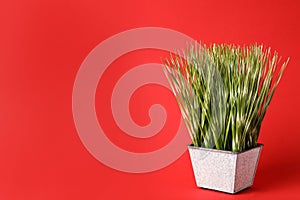 Artificial plant in flower pot on red background, space for text