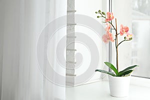 Artificial plant in flower pot on window sill. Space for text