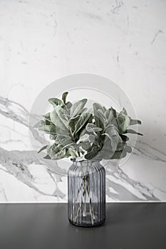 Isolated artificial plant in glass vase on gray spray-painted  working table with  marble wall in the background /apartment interi photo