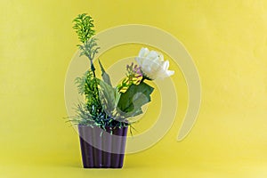 Artificial plant in a plastic  voilet vase. With yellow background.