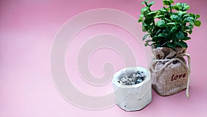 Artificial plants in the form of green plants and a white vase on a pink background