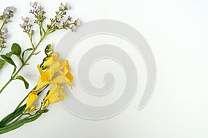 Artificial Plastic Flowers on a White Background