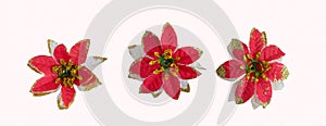 Artificial poinsettia flowers on a pink background. Top view
