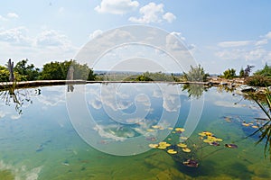 artificial pond with fish in the garden of a country house.