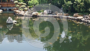 Artificial pond with fish in a park recreation area. Hong Kong, China