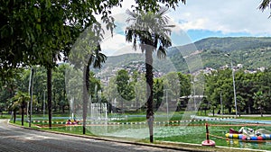 An artificial pool among the greenery