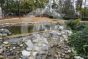 An artificial pool among the greenery