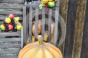 Artificial pumpkins, fruit, wooden lattice