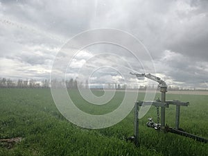 Artificial rain. Pressurized water in Spanish agriculture. Center of the Iberian Peninsula. Irrigation cannon.