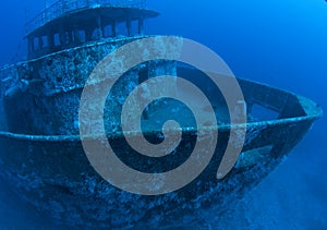 Artificial Reef-