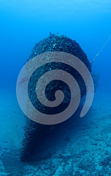 Artificial Reef-Ancient Mariner