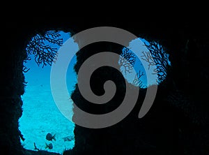 Artificial Reef-Berry Patch