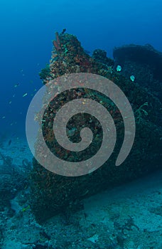 Artificial Reef-Berry Patch