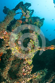 Artificial Reef-United Caribbean