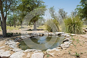 Artificial small lake at oasis in the desert surrounded by trees and bushes