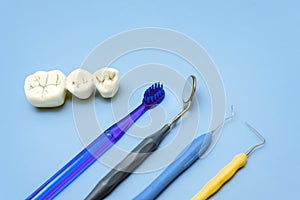 Artificial teeth with caries and toothbrush with dental tools lie on a blue background