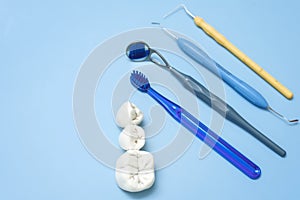 Artificial teeth with caries and toothbrush with dental tools lie on a blue background