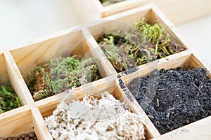 Artificial terrarium supply kit moss plant dirt decoration box