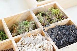 Artificial terrarium supply kit moss plant dirt decoration box photo