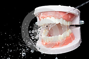 Artificial Tooth Plastic jaw clean with water spray jet. Teeth of dental jaw model spray with water to clean up before operation.