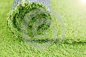 Artificial turf roll. Synthetic grass lawn laying background