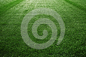 Artificial turf at soccer field
