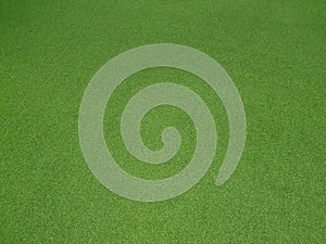 .artificial turf.The surface is made of synthetic fibers photo