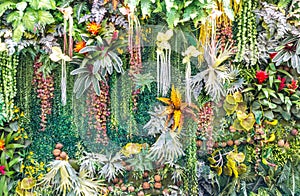 Artificial vertical garden wall.