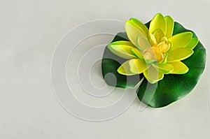 Artificial water Lilly isolated on a white background