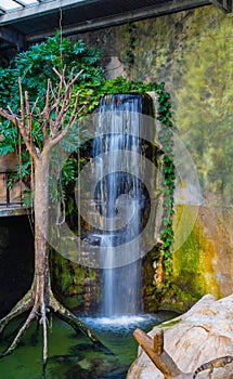 Artificial waterfall Henry Doorly Zoo Omaha Nebraska