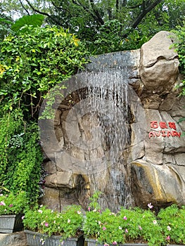 artificial waterfall, plants and flower in the Kowloon park