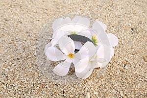 Artificial white flower on the sand