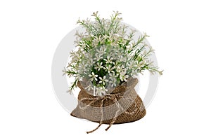 Artificial white flowers isolated