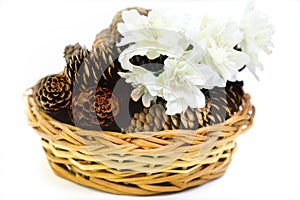 Artificial white  flowers and wicker basket with natural fir cones on white background, wedding  or Christmas interior detail