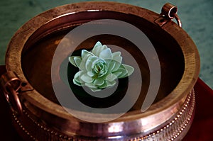 Artificial white lotus flower in a pot unique photo