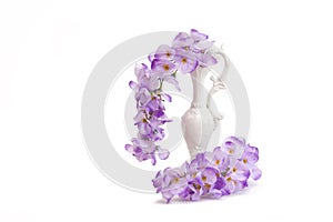 Artificial wisteria flowers in white pitcher