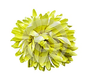 Artificial yellow flower isolated