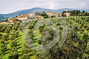 Artimino Tuscany Italy small town among olive trees on the hills