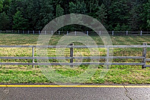 Artiodactyla pasture fenced by a wooden fence.