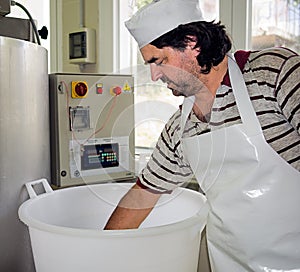 Artisan cheese making - the expert hand check the cheese's progr