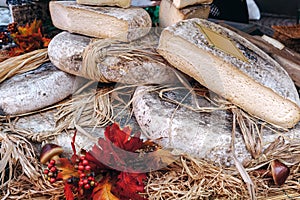 Artisan cheese on the stall in Alba, Italy