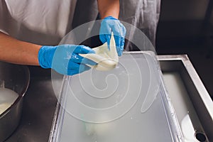 Artisan cheesemaker cuts the mozzarella with hands.