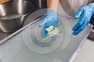 Artisan cheesemaker cuts the mozzarella with hands.