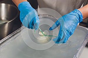 Artisan cheesemaker cuts the mozzarella with hands.