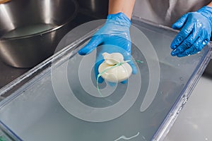 Artisan cheesemaker cuts the mozzarella with hands.