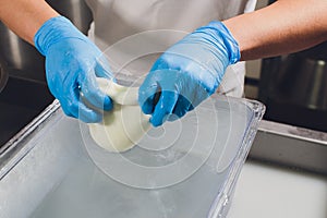 Artisan cheesemaker cuts the mozzarella with hands.