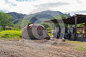 Artisan oven in the field to make tequila and raicilla. photo